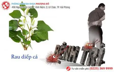 da khoa phuong do